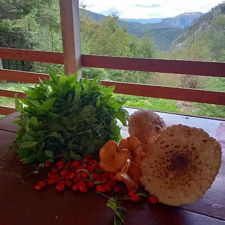 Vila Ivana Mitrovac